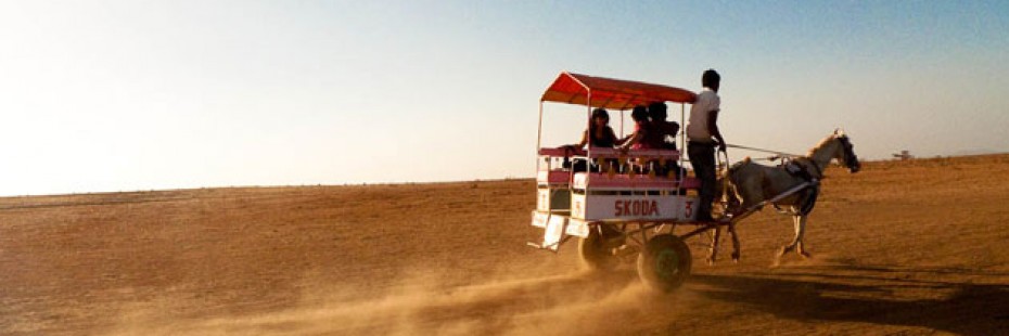 Colourful Horse Buggy at Tableland Panchgani