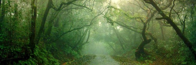 Mahabaleshwar Hill Road